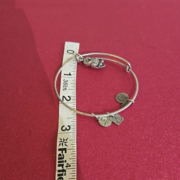 Alex and ani bracelet owl jo35 - Picture 4 of 4